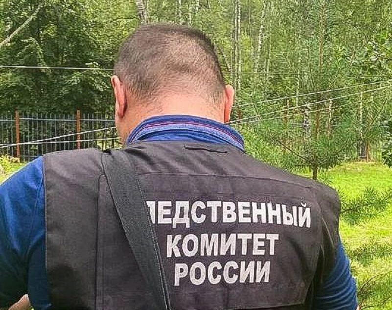 В Тверской области возбудили уголовное дело после падения столба на 4-летнего мальчика В Тверской области возбудили уголовное дело после падения столба на 4-летнего мальчика