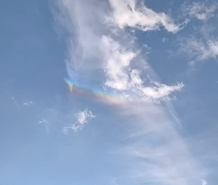 Жители Твери сфотографировали редкую огненную радугу