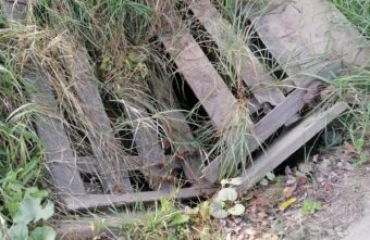 Жителей Тверской области предупредили об опасности возле дороги Жителей Тверской области предупредили об опасности возле дороги