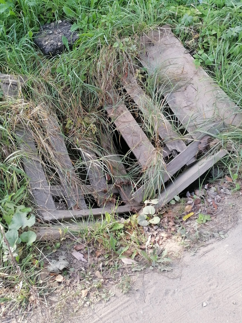 Жителей Тверской области предупредили об опасности возле дороги