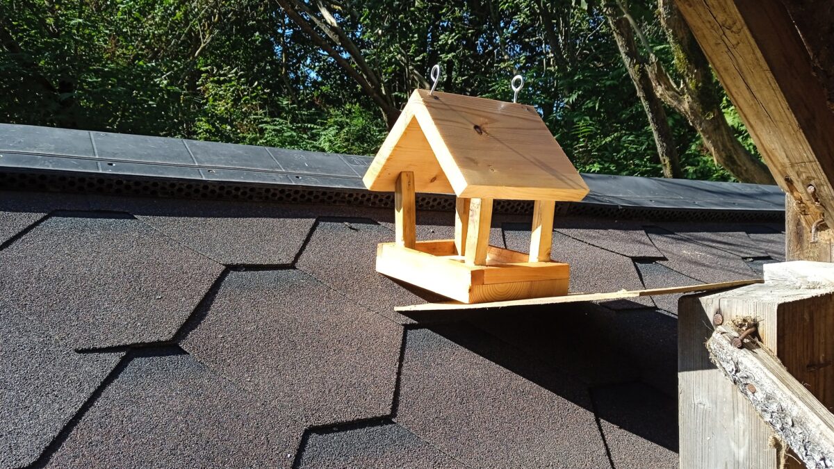 На Волынском кладбище в Твери прошел необычный субботник