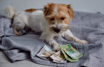 В 2024 году ожидается рекордный рост зарплат В 2024 году ожидается рекордный рост зарплат