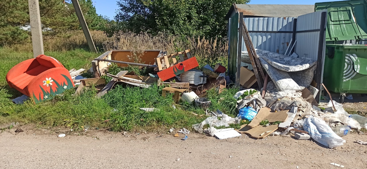 Деревня в Тверской области превратилась в настоящую свалку