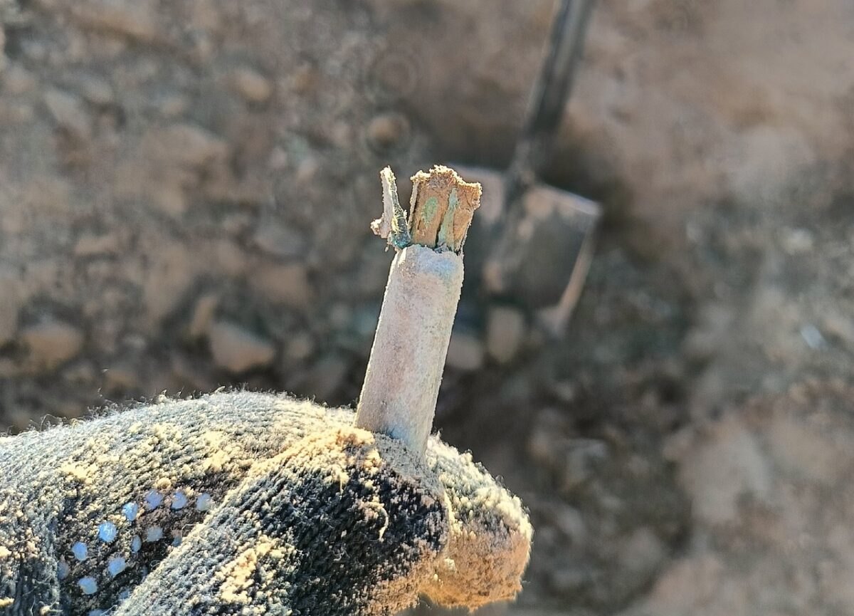 Поисковики ищут родных красноармейца, погибшего в Тверской области