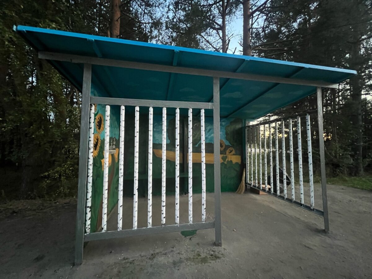 Жители Тверской области придумали уникальный дизайн остановки