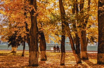 Синоптики дали предварительный прогноз на октябрь в Тверской области