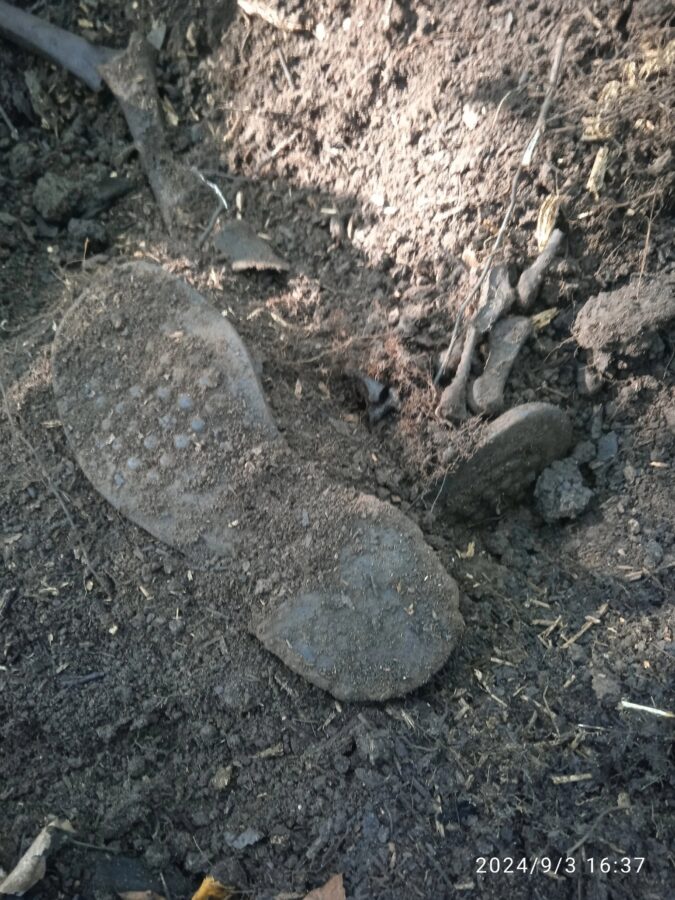 В Тверской области найдены останки красноармейца с поврежденным комсомольским билетом