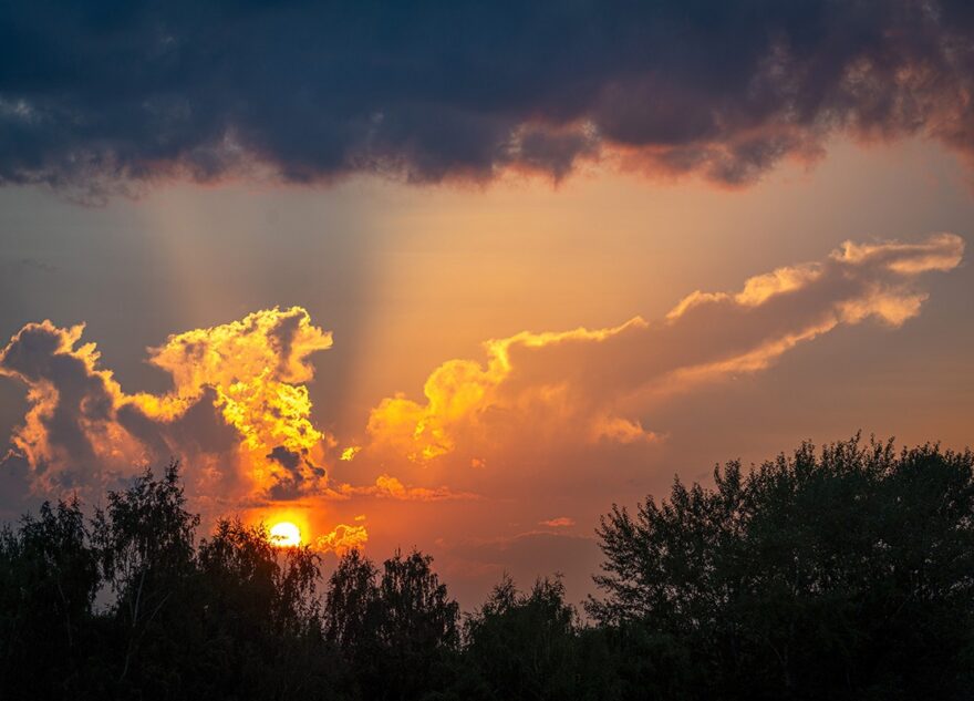 Стало известно, когда из Тверской области уйдет палящая жара