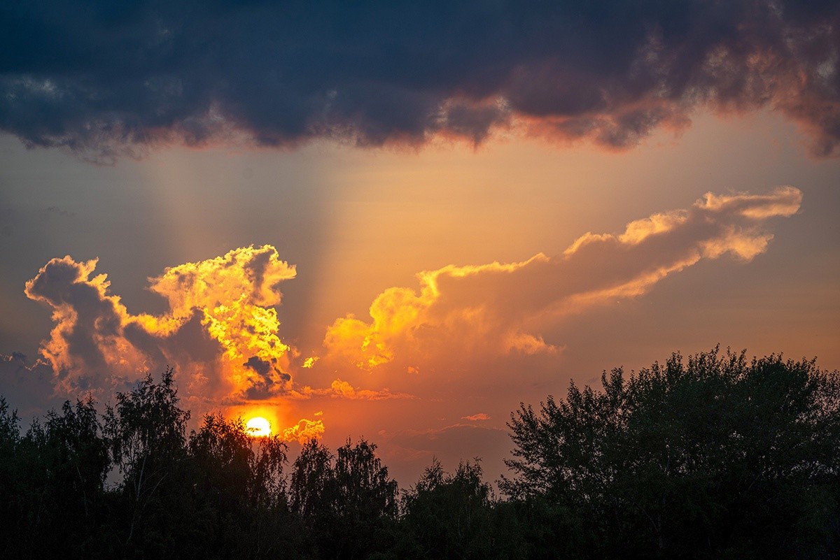Стало известно, когда из Тверской области уйдет палящая жара