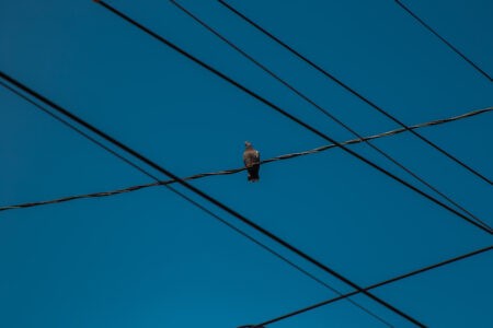 Синоптик Вильфанд назвал две погодные приметы, которые работают