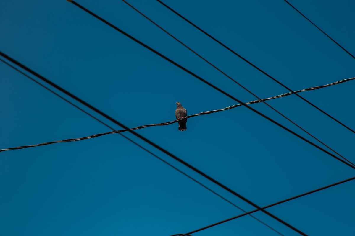 Синоптик Вильфанд назвал две погодные приметы, которые работают