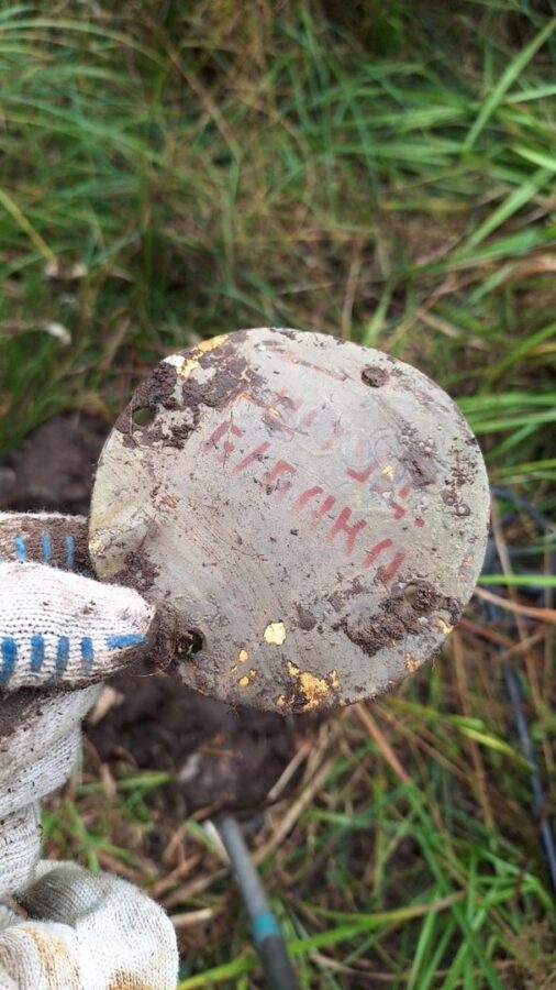 В Тверской области нашли обломки советского самолета