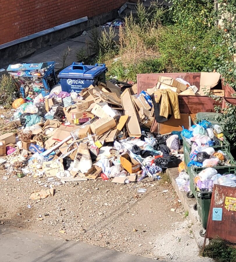 В городе Тверской области больше месяца не вывозят мусор