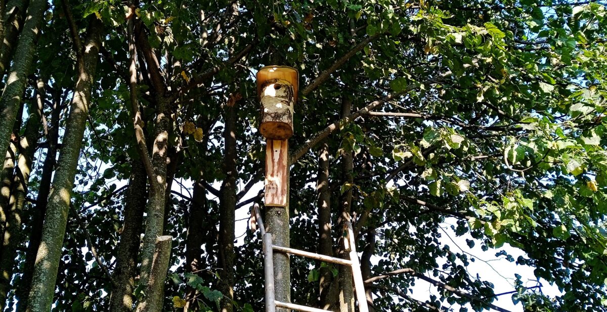 На Волынском кладбище в Твери прошел необычный субботник