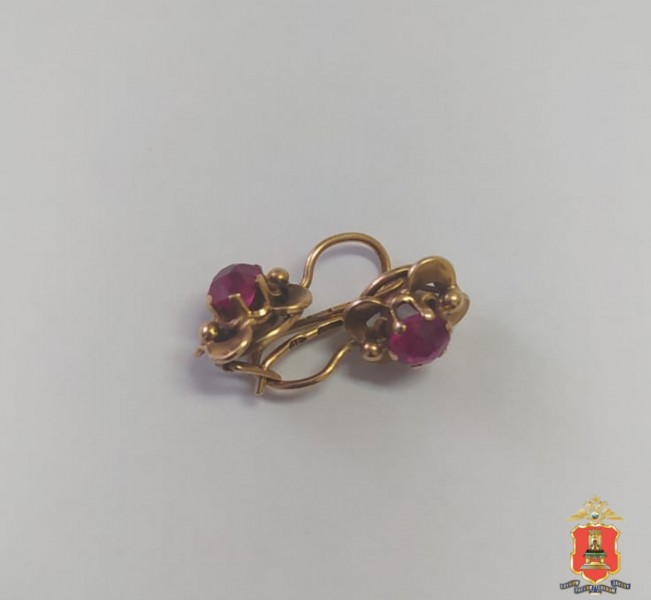 В Тверской области волгоградец украл у бабушки деньги и золотые серьги