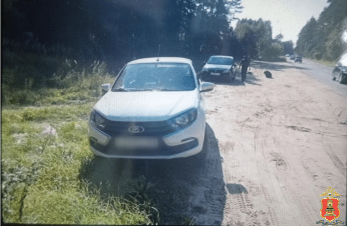 В Тверской области задержали наркокурьера с крупной партией метилэфедрона