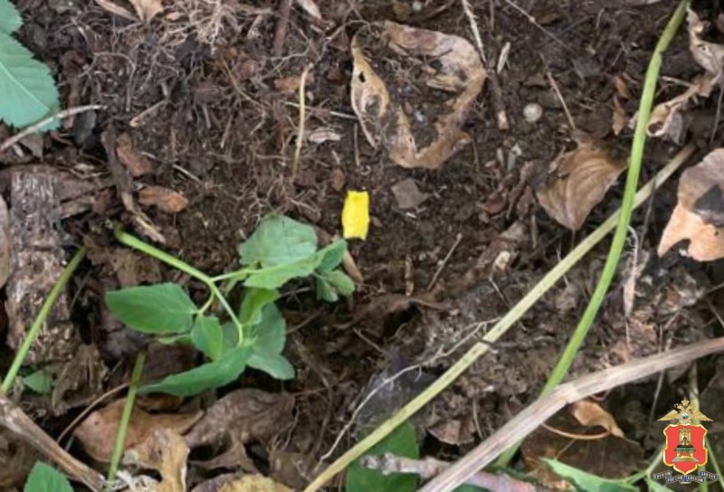 В Твери задержали наркозакладчика, который пытался сбыть героин