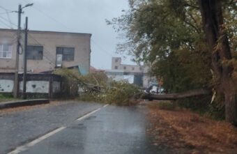 В Твери образовалась большая пробка из-за упавшего дерева