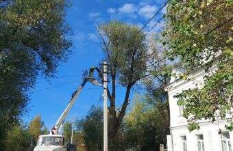 В городе Тверской области ветки рвали провода рядом с домами