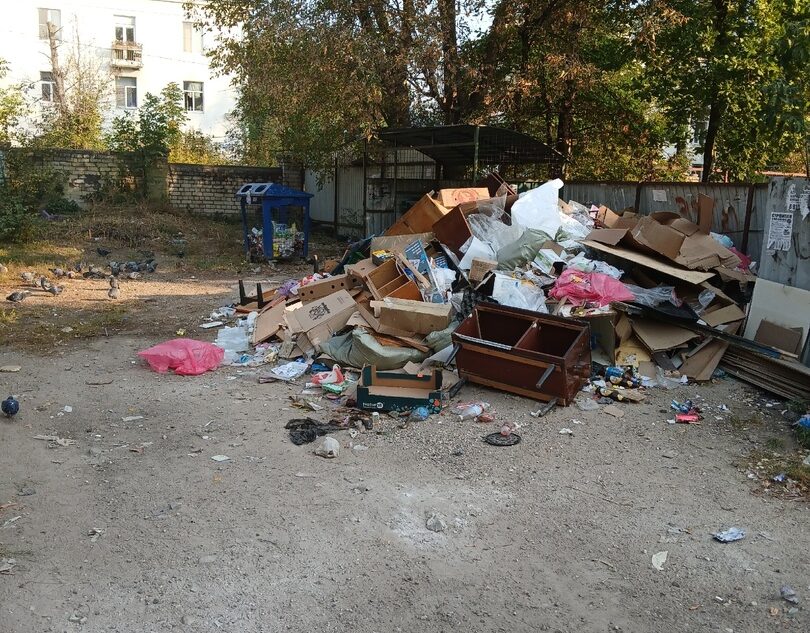 С улицы в центре Твери полгода не вывозят мусор