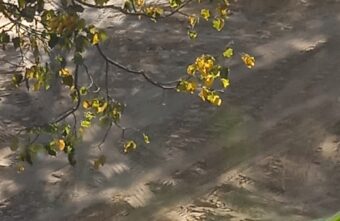 Жителей поселка Тверской области предупредили об открытых люках