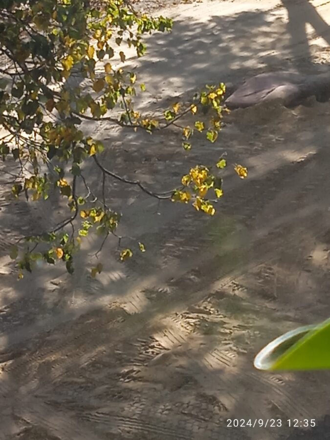 Жителей поселка Тверской области предупредили об открытых люках