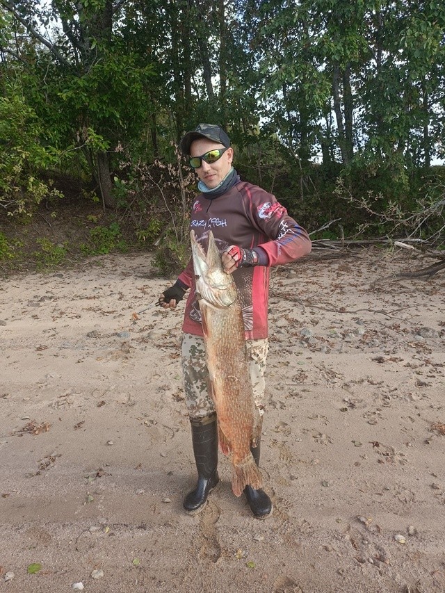 Рыбак в Тверской области поймал огромную щуку