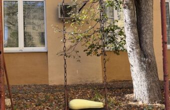 Одинокий кабачок ищет в Твери хозяйку