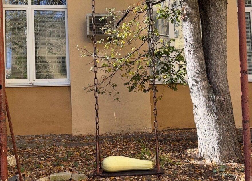 Одинокий кабачок ищет в Твери хозяйку