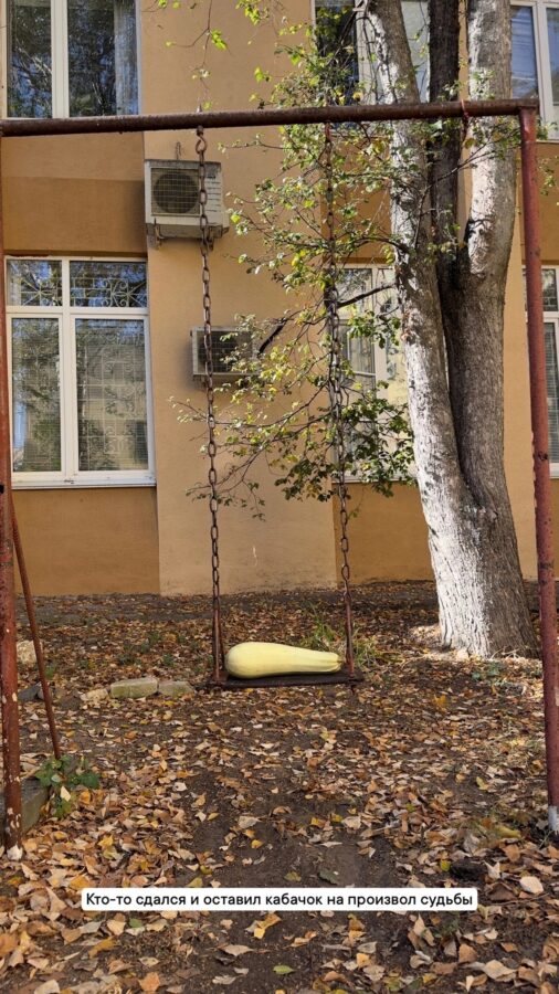 Одинокий кабачок ищет в Твери хозяйку