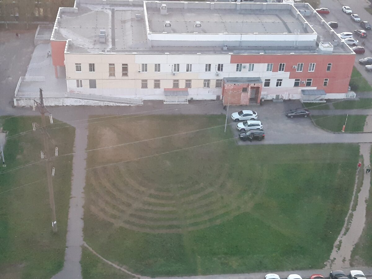 В Твери заметили странные круги на поле