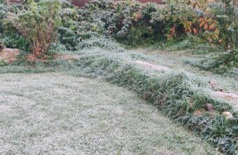 В Тверскую область пришли первые заморозки