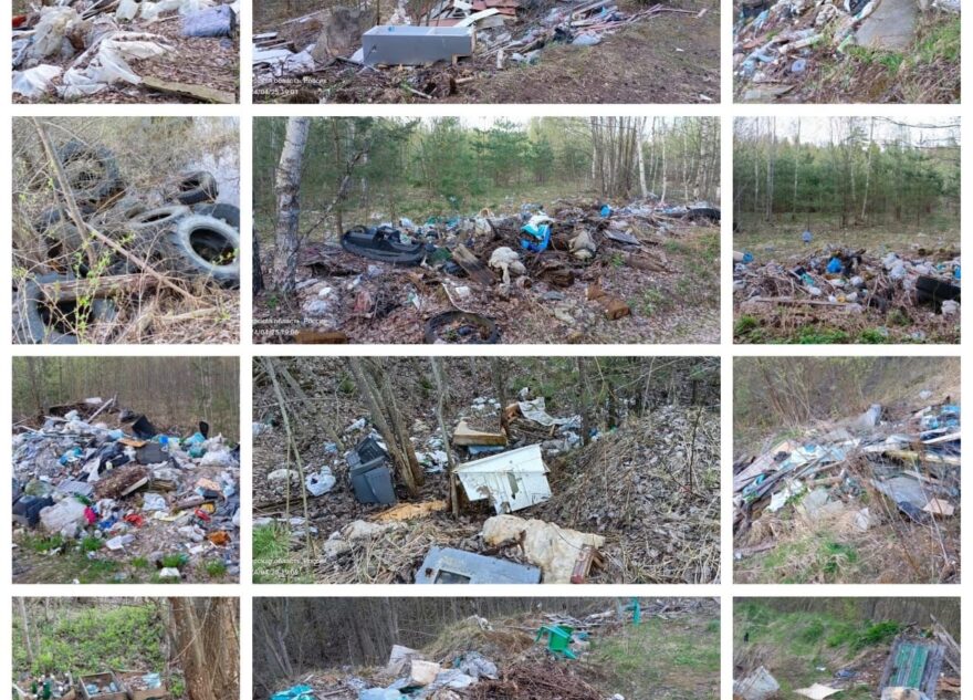 Жители Тверской области завалили свою деревню мусором