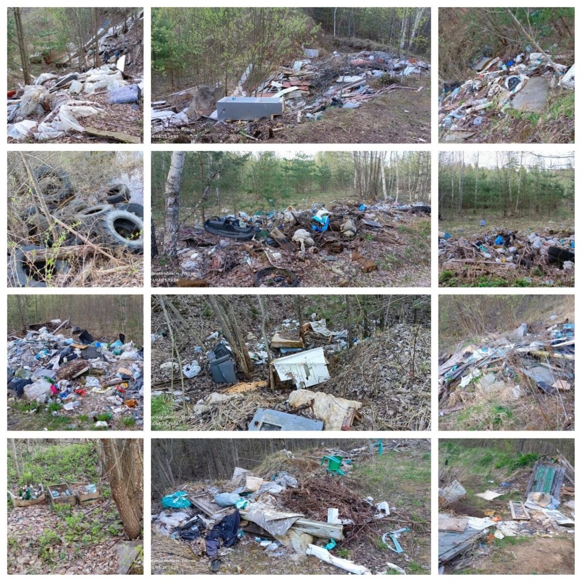 Жители Тверской области завалили свою деревню мусором