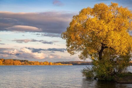 Синоптики сообщили, когда в Тверской области наступит настоящая осень