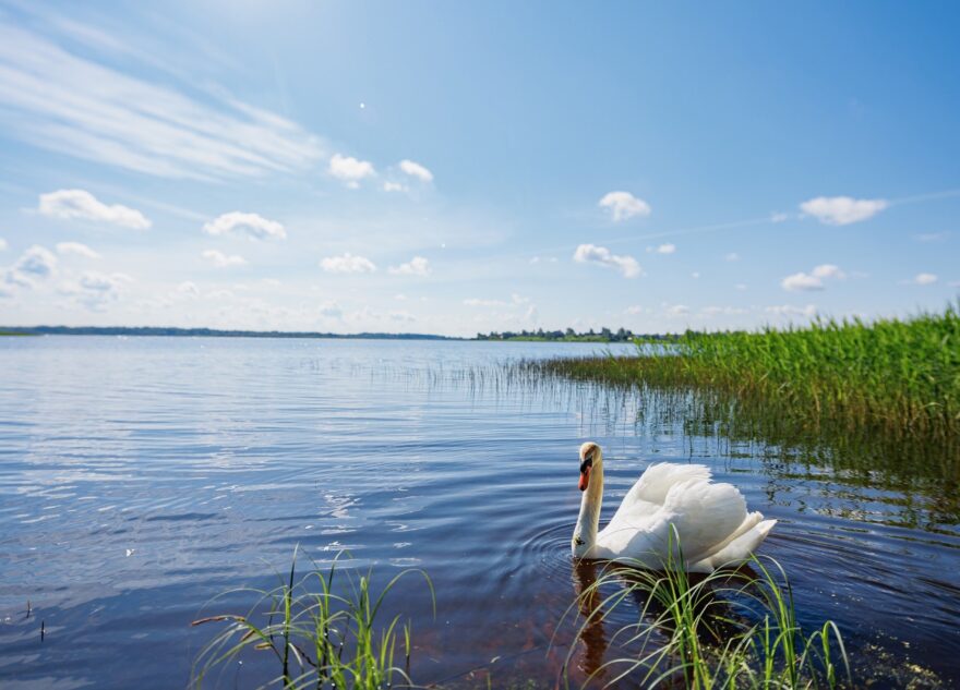 Торопчанка Елена Климкина написала песню в поддержку родного города