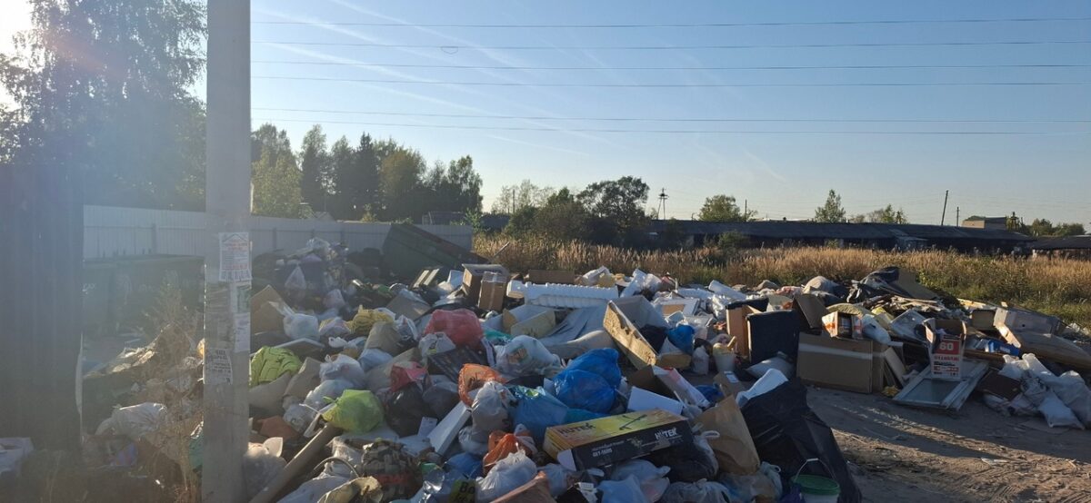 Жителям деревни под Тверью приходится жить рядом с огромной свалкой