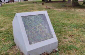 Фонари возле знаменитого тверского памятника превратились в мини-теплицы