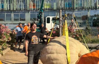 Молодой человек вырастил самую тяжелую тыкву России