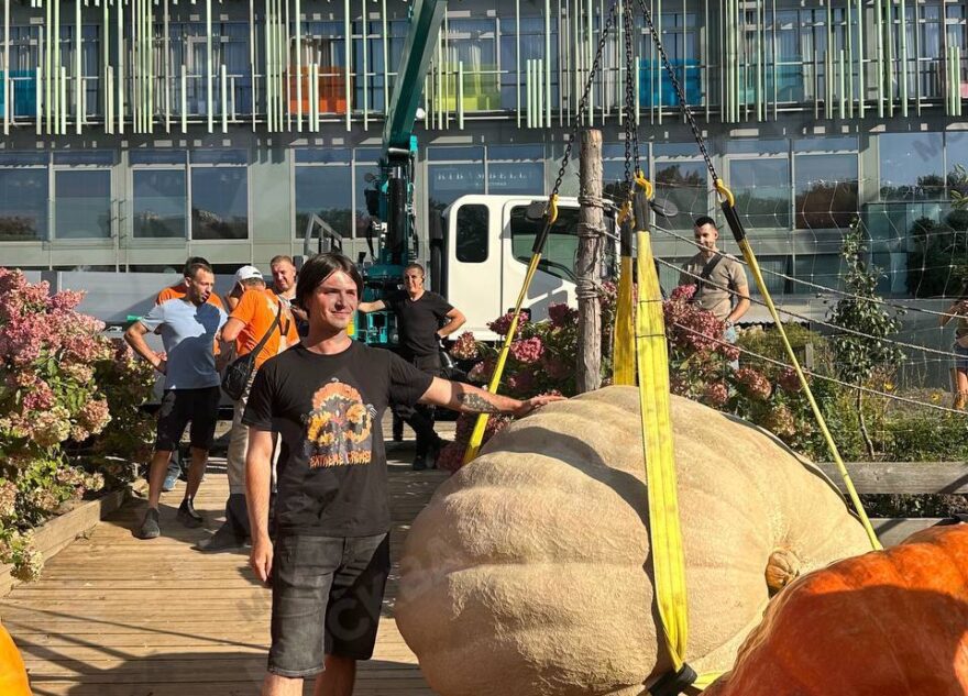 Молодой человек вырастил самую тяжелую тыкву России