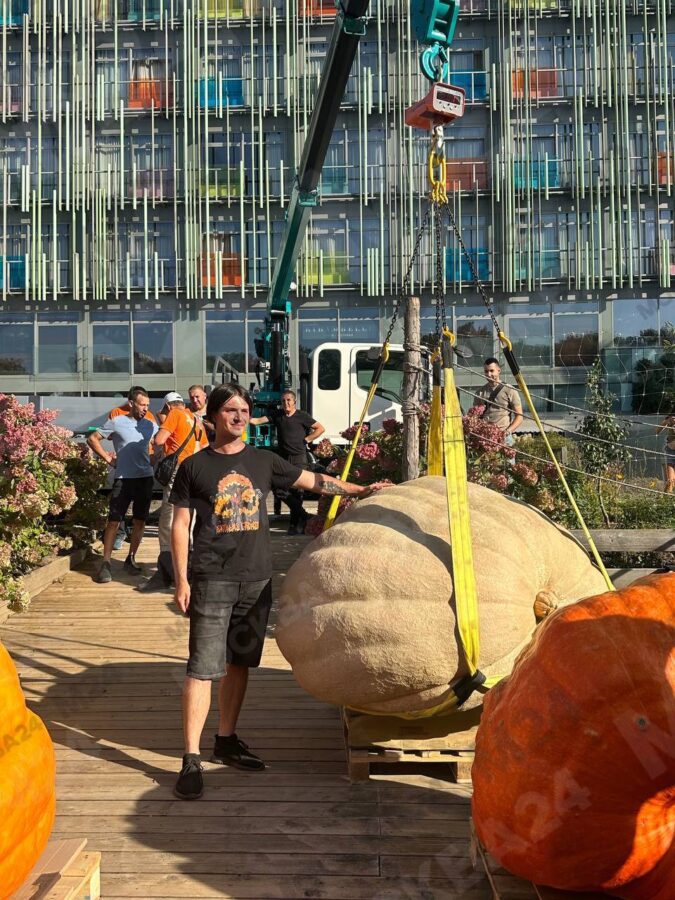 Молодой человек вырастил самую тяжелую тыкву России