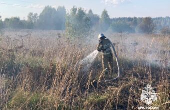 В двух округа Тверской области ликвидировали возгорание сухой растительности