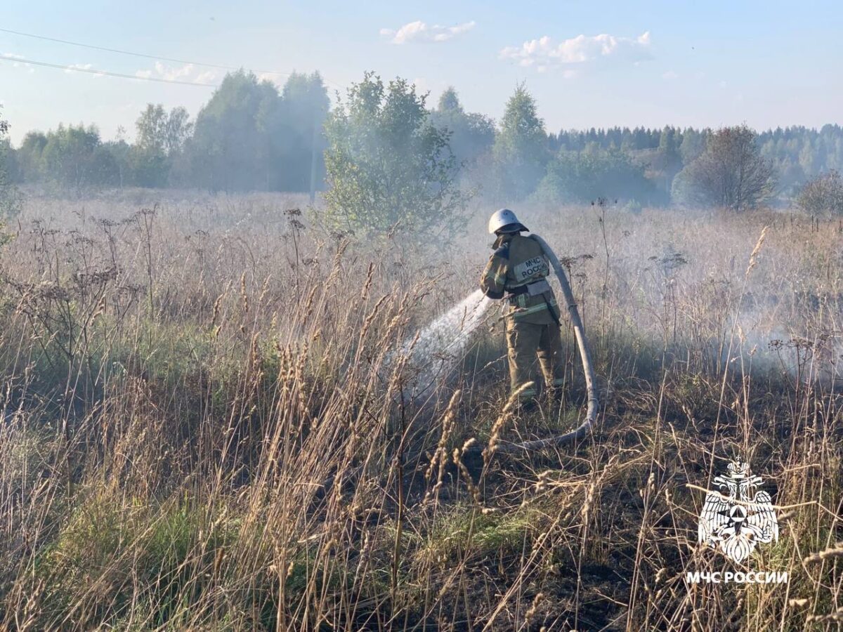 В двух округа Тверской области ликвидировали возгорание сухой растительности