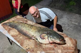 Житель Тверской области выловил гигантскую рыбу Житель Тверской области выловил гигантскую рыбу