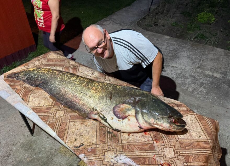 Житель Тверской области выловил гигантскую рыбу