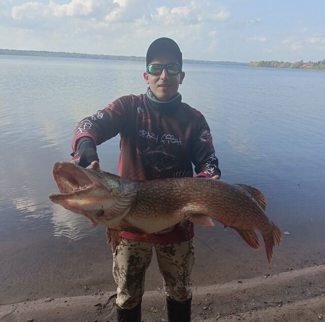 Рыбак в Тверской области поймал огромную щуку