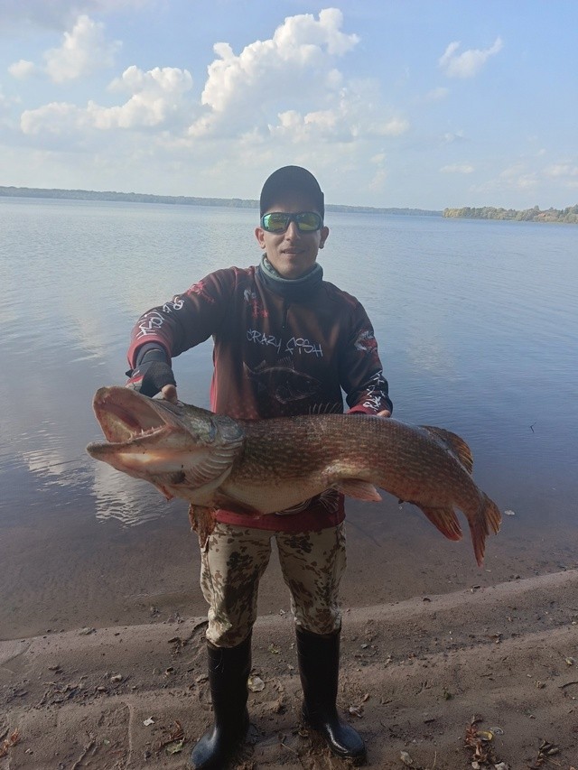 Рыбак в Тверской области поймал огромную щуку