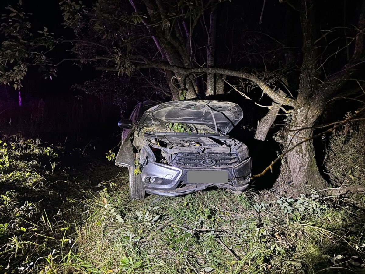 В Тверской области пострадали водитель и пассажир врезавшейся в дерево "Весты"