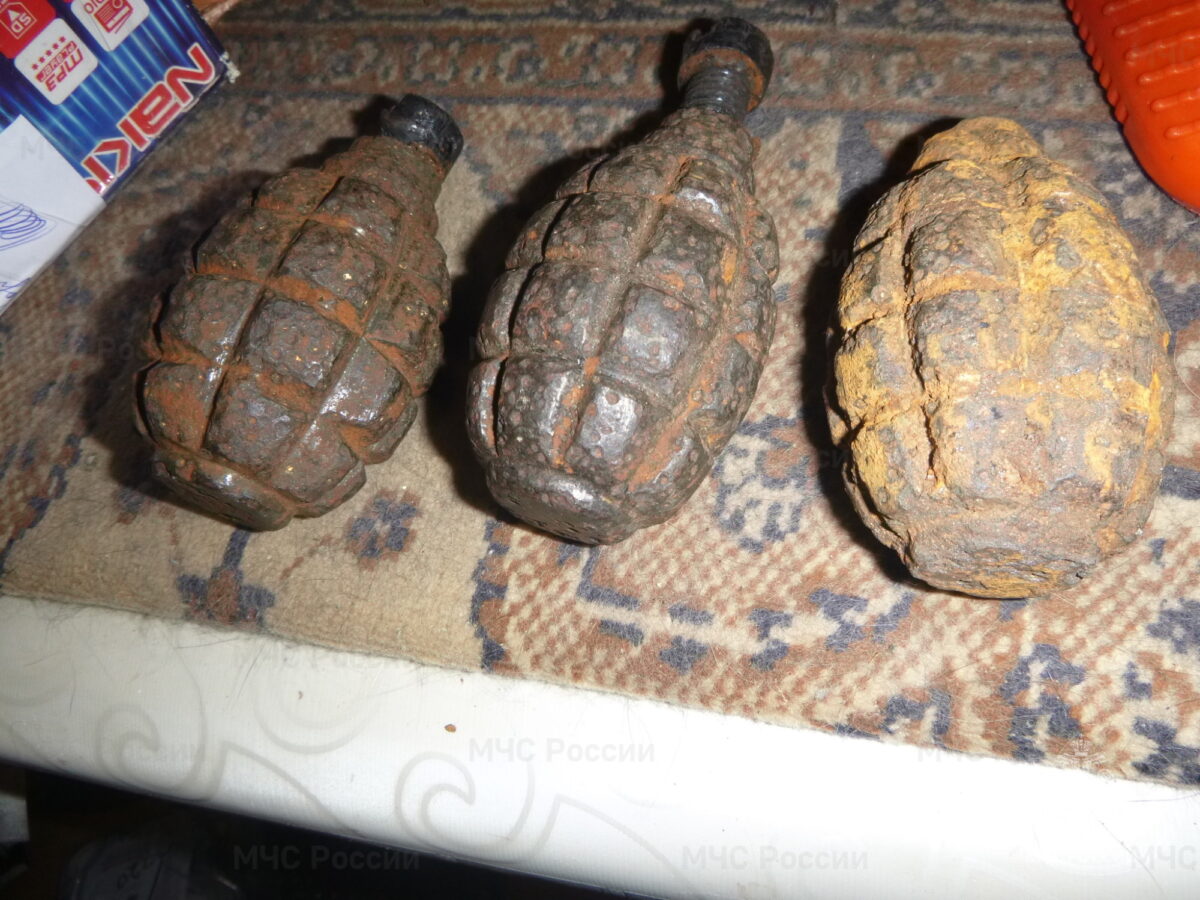 В Тверской области ликвидировали гранаты, мину и снаряд времён войны