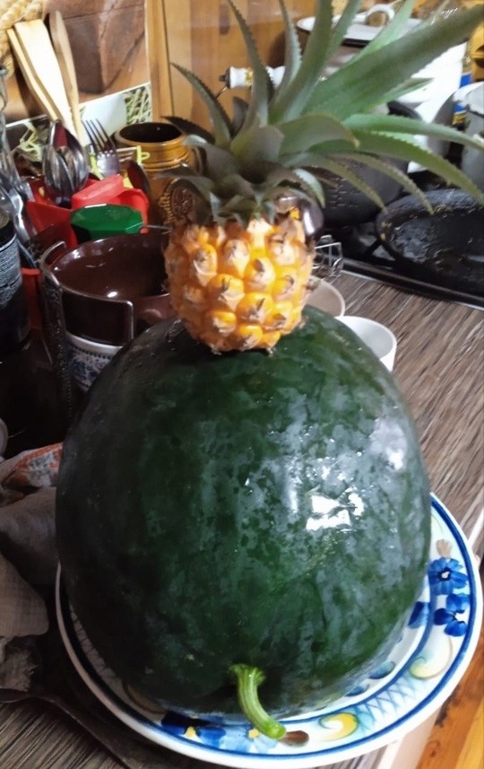 На грядках в Тверской области растут арбузы и ананасы